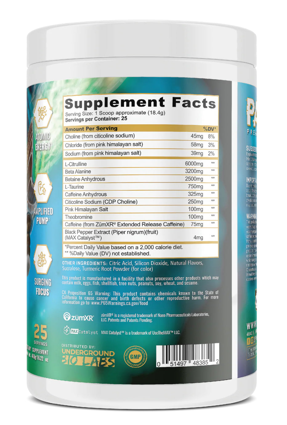 PRÉ TREINO PANDO PANDA SUPPLEMENTS - 460G
